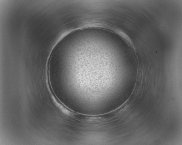 X0000062651439200512281636