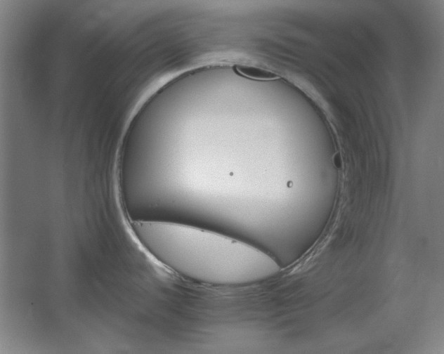 X0000062651440200512281636