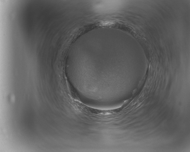 X0000062651441200512281635