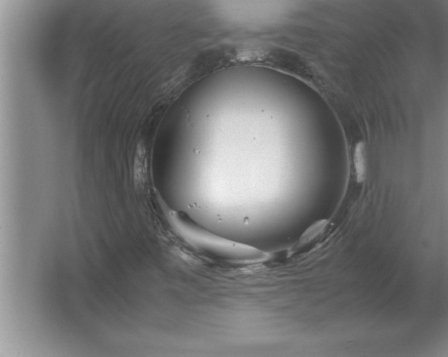 X0000062651443200512281635