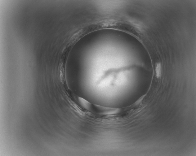 X0000062651444200512281635