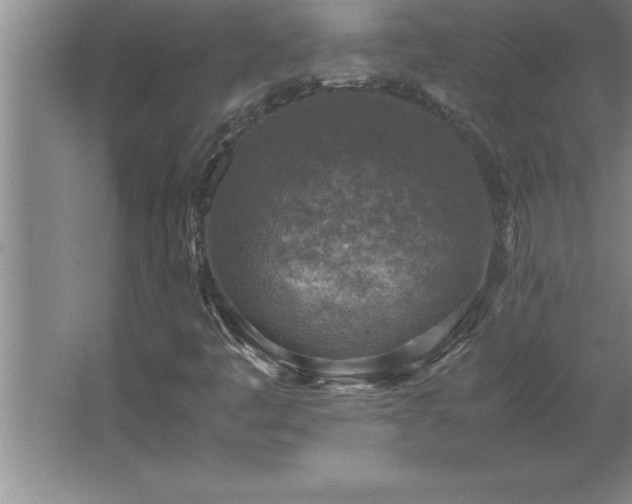 X0000062651445200512281635