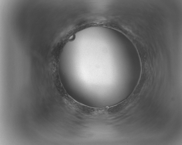 X0000062651447200512281635