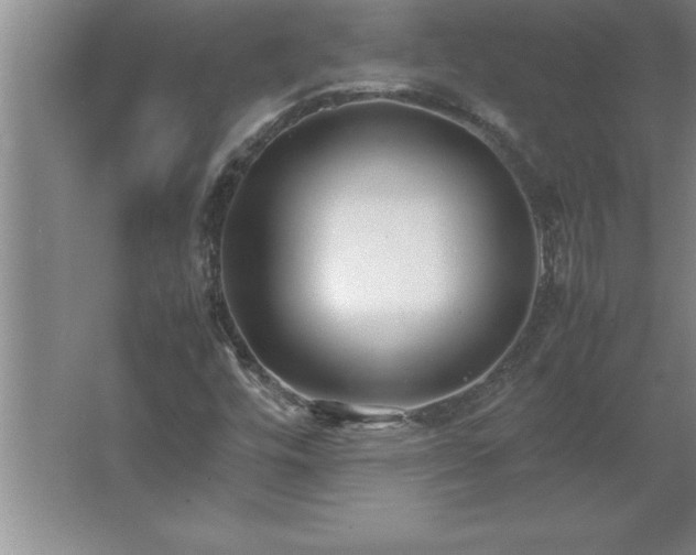 X0000062651448200512281635