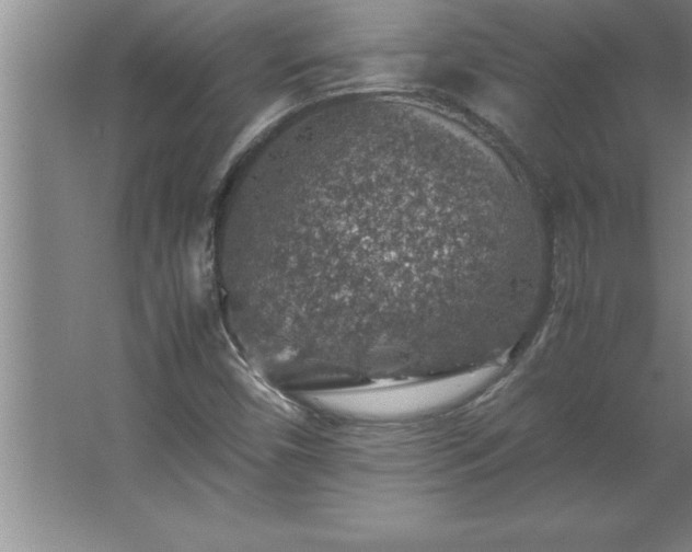 X0000062651450200512281635