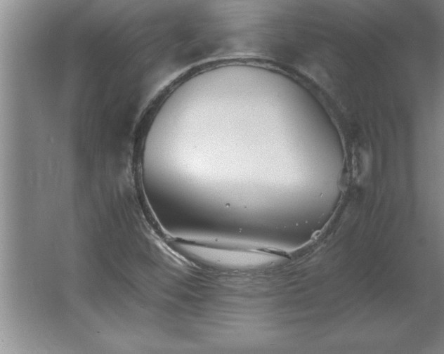 X0000062651452200512281635