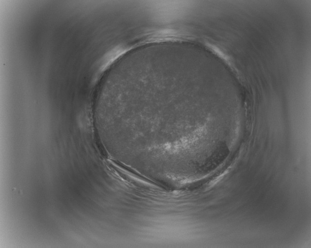 X0000062651453200512281635