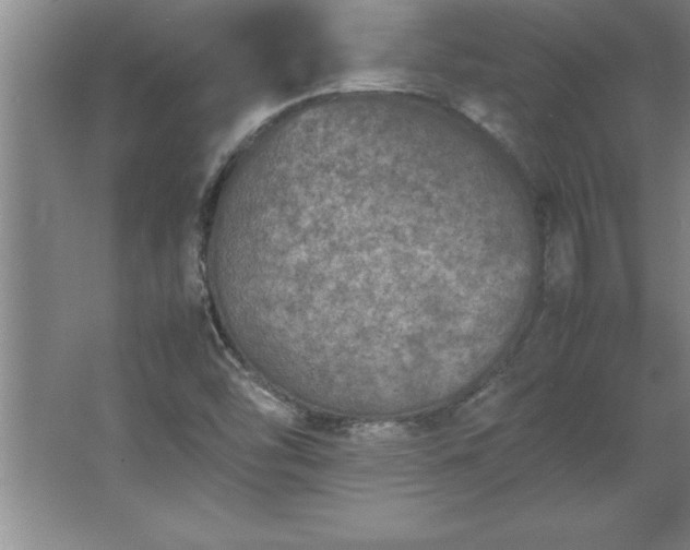 X0000062651454200512281635