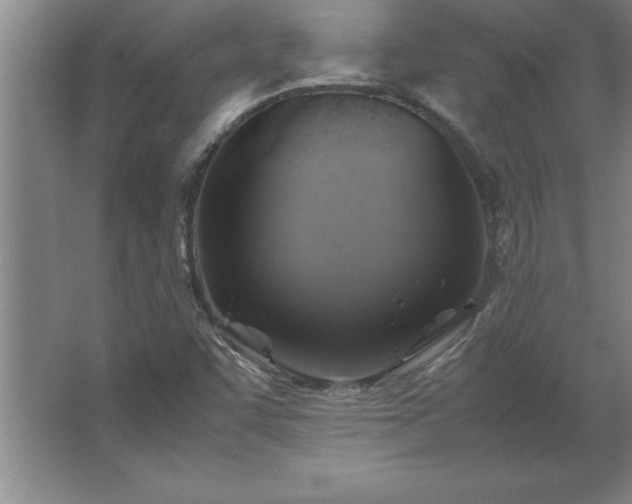 X0000062651455200512281635