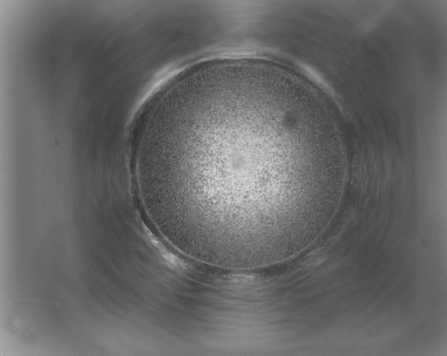 X0000062651456200512281635