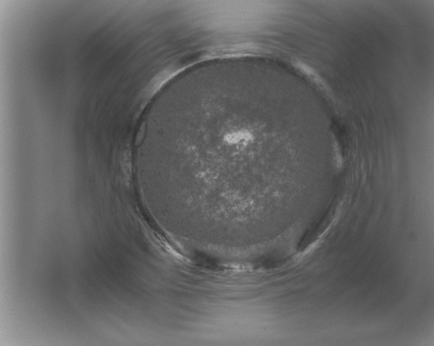 X0000062651457200512281635