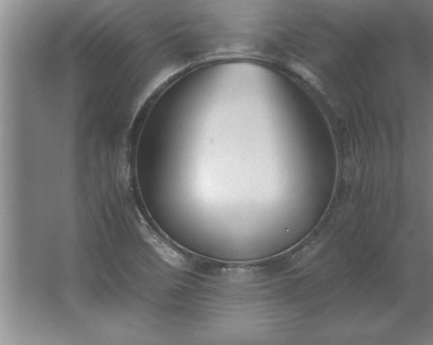 X0000062651458200512281635