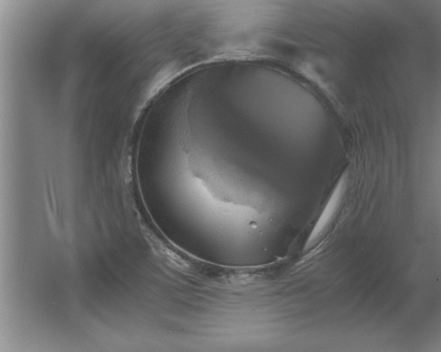 X0000062651459200512281635