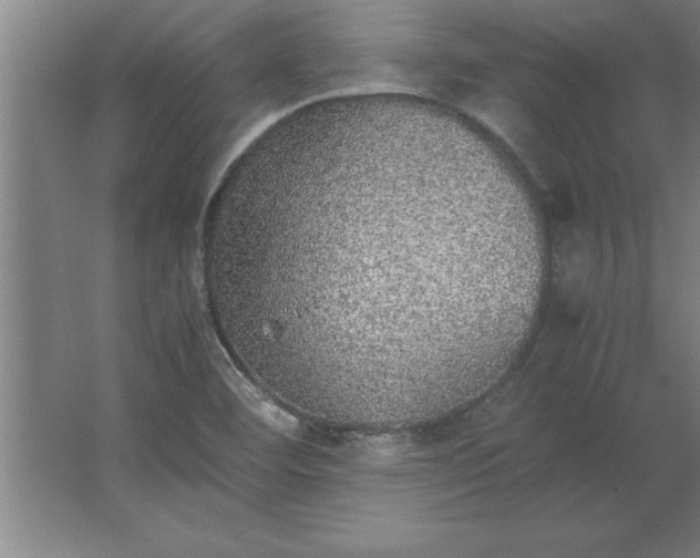 X0000062651460200512281634