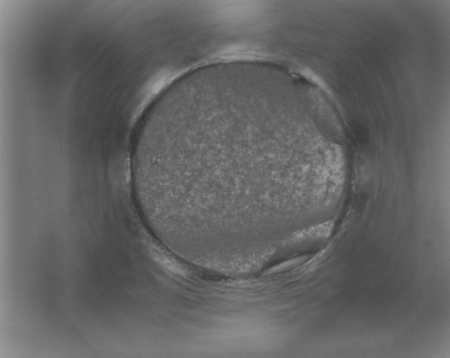 X0000062651461200512281634