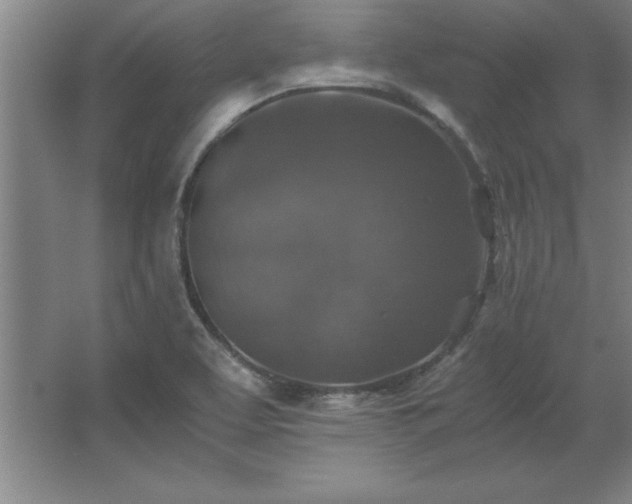 X0000062651463200512281634