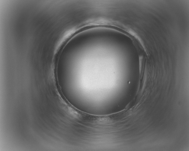 X0000062651464200512281634