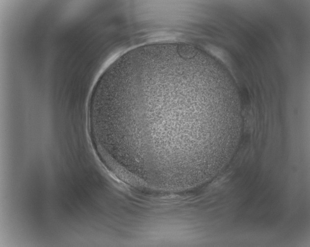 X0000062651467200512281634