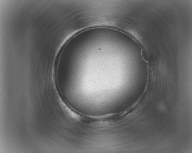 X0000062651468200512281634