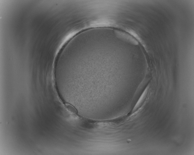 X0000062651469200512281634