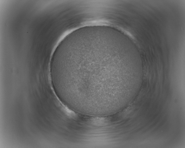 X0000062651470200512281634