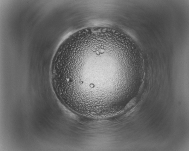 X0000062651471200512281634