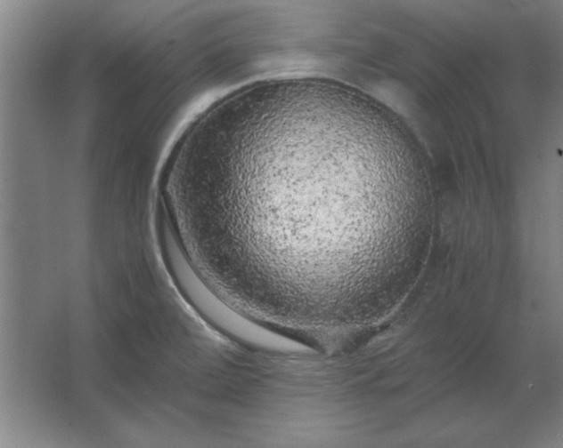 X0000062651472200512281634