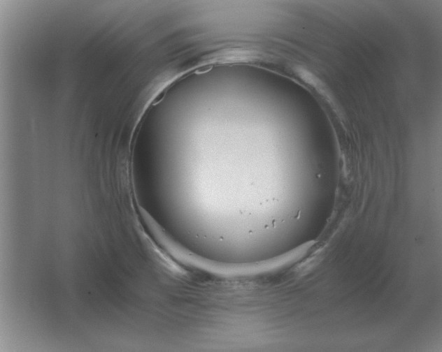 X0000062651473200512281634