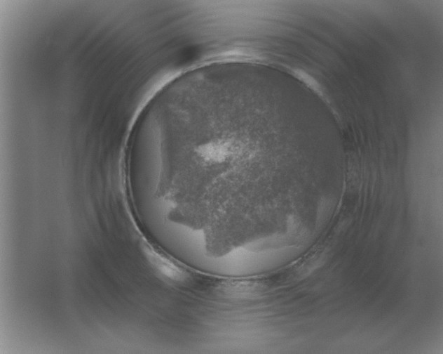 X0000062651474200512281634