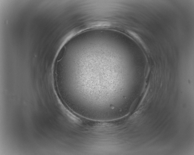 X0000062651475200512281634