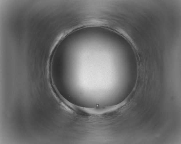 X0000062651477200512281634