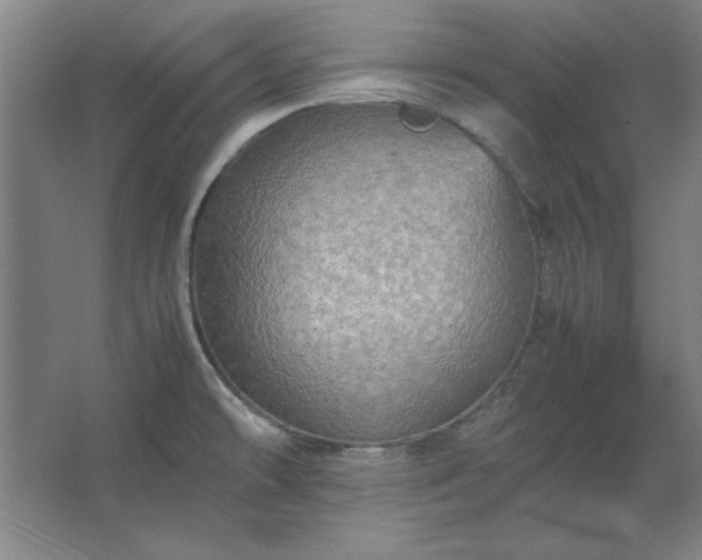 X0000062651478200512281634