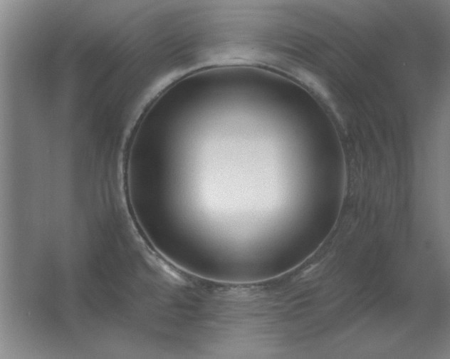 X0000062651480200512281634