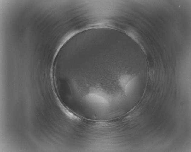 X0000062651482200512281634