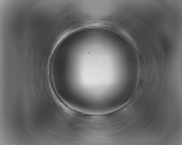 X0000062651483200512281634