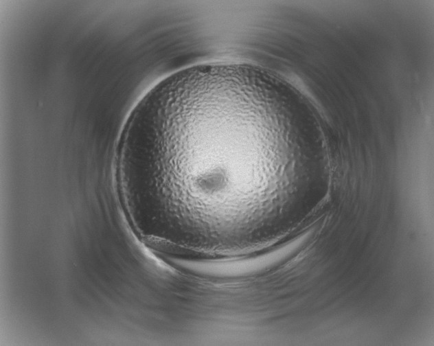 X0000062651484200512281634