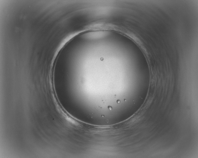 X0000062651486200512281634