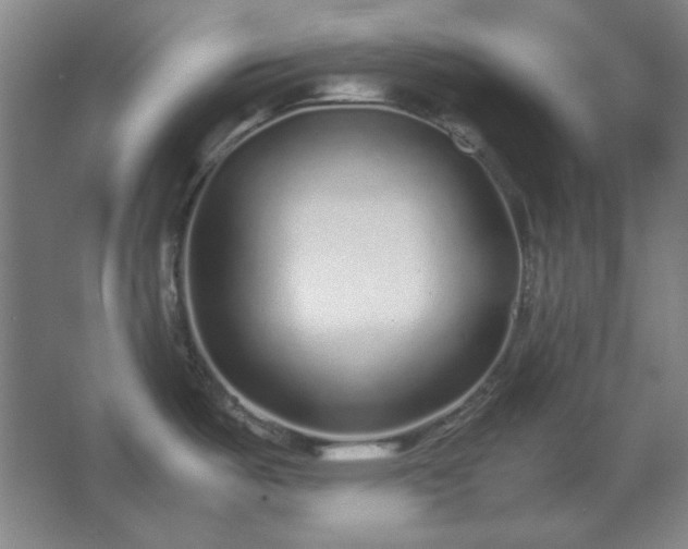 X0000062651487200512281634