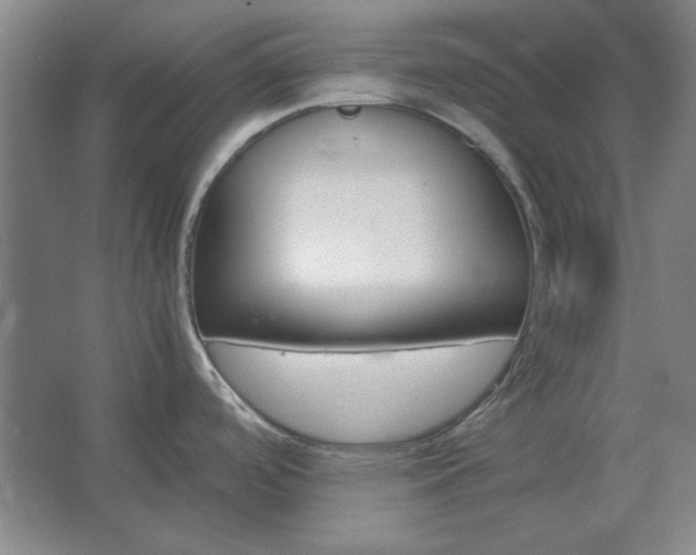 X0000062651488200512281634