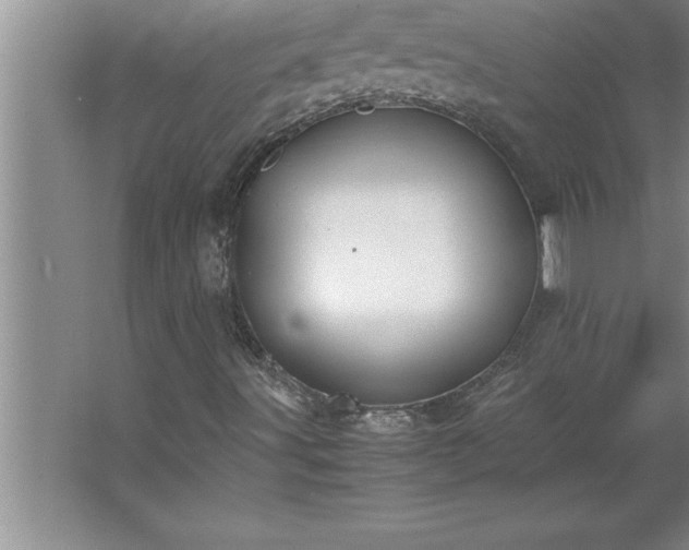 X0000062651491200512281633