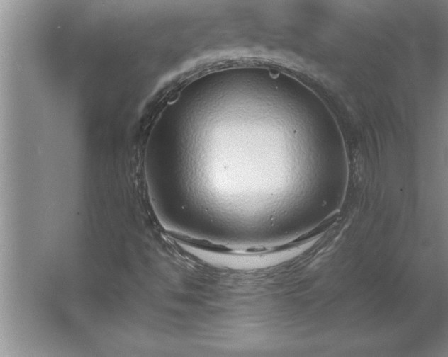 X0000062651494200512281633