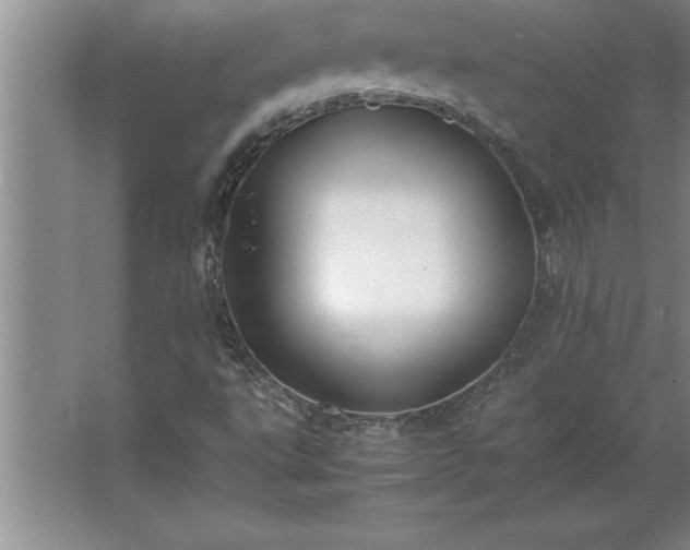 X0000062651495200512281633