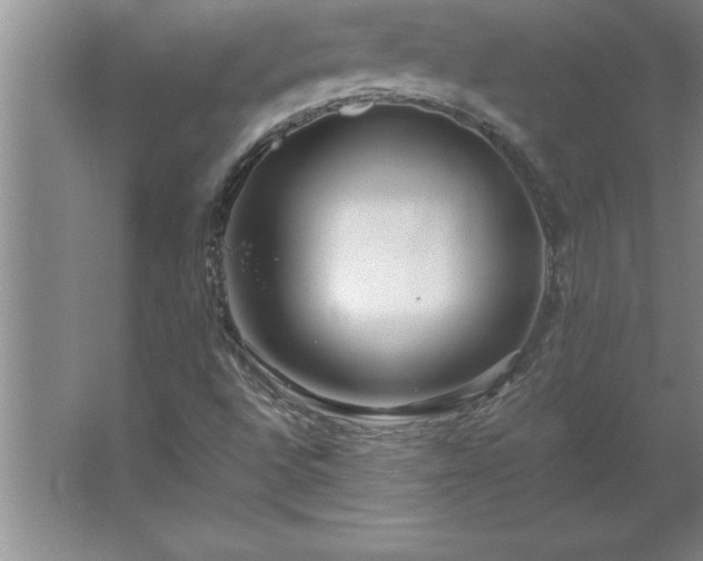 X0000062651496200512281633