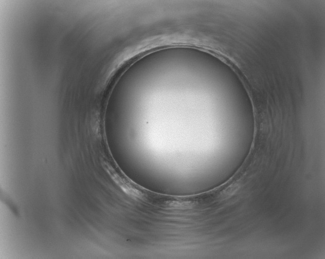 X0000062651499200512281633