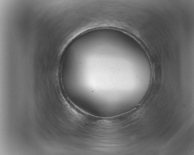 X0000062651500200512281633