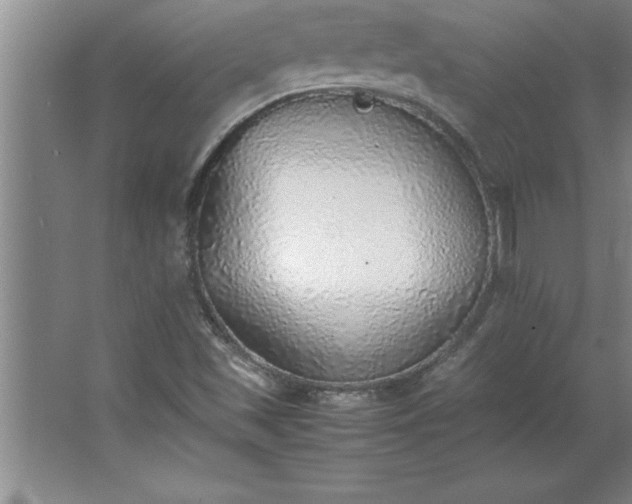 X0000062651501200512281633