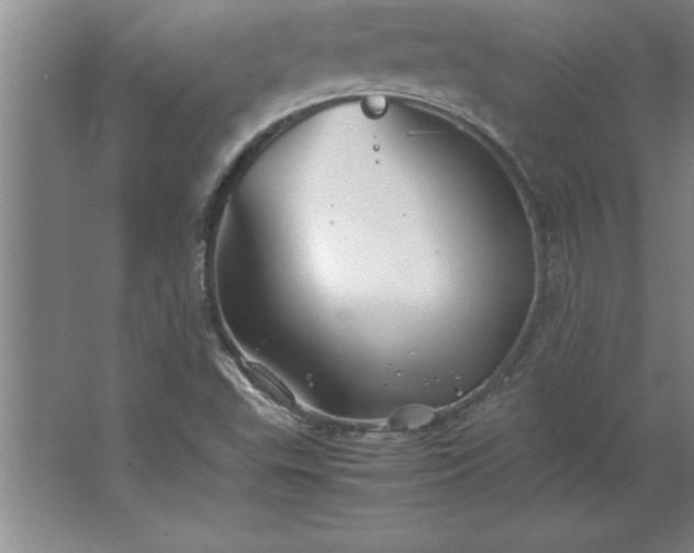 X0000062651503200512281633