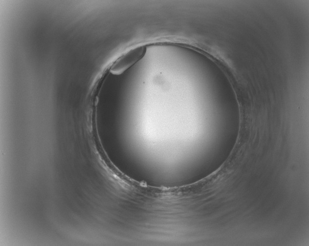 X0000062651504200512281633