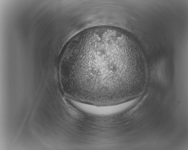 X0000062651505200512281633