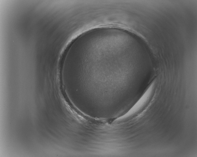 X0000062651506200512281633